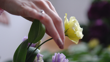 The girls hand put up a yellow flowerの写真素材