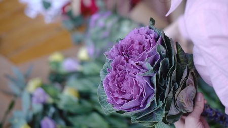 Florist woman arranging a beautiful flower bouquet with brassicaの写真素材