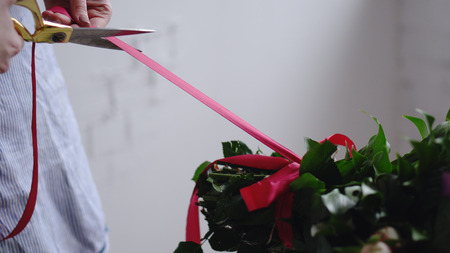 Florist cuts the red ribbon on the bouquet with scissorsの写真素材