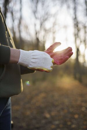 Female hands put on gloves close-up. The concept of environmental protection, environmental safety