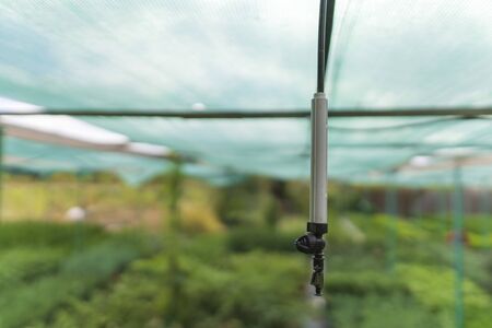 White sprinkler in a greenhouse close-up. Irrigation system for growing in agriculture. Autowatering plantsの写真素材