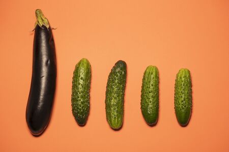 One eggplant and a few cucumbers on a beautiful colored background. Ingredients for fresh vegetable saladの写真素材