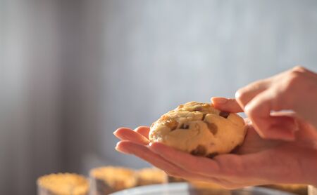The cook kneads the dough in his hands close-up, a beautiful bright light. Resilient raw dough in womens handsの写真素材