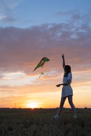 The silhouette of a slender girl with a kite against the backdrop of a beautiful sunset. Happiness...
