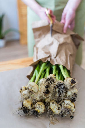 Woman decorator unpacks fresh flowers. Decoration of the holiday with flowers. Businesswoman at workの写真素材