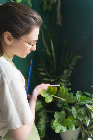 Small business. Young Woman Entrepreneur. Seller in the flower shop, tablet and pen in handの写真素材