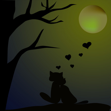 cats love at night under the moonの写真素材