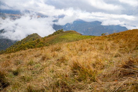 Autumn landscape in the mountains.の写真素材