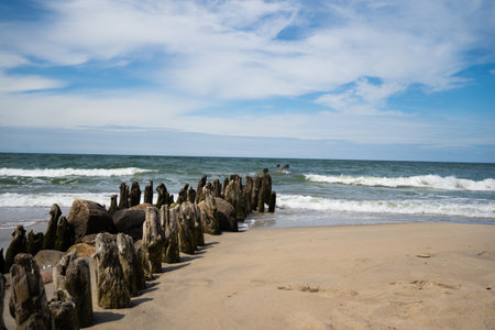 Wooden breakwaters on the beach of the Baltic Sea in Polandの写真素材