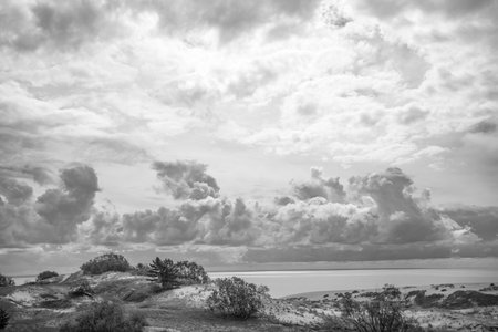 Dramatic sky over the sea. Black and white photo.の写真素材