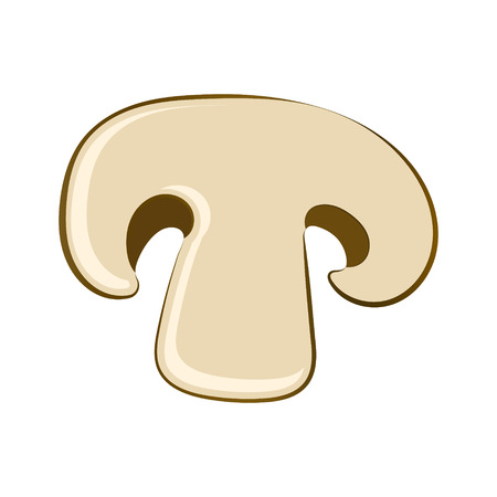 Fungus in a section. Vector illustration on white backgroundのイラスト素材