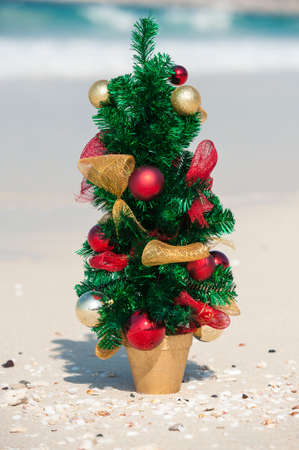 Christmas tree on the beach, a small Christmas tree on the beach, new year in Dubaiの写真素材