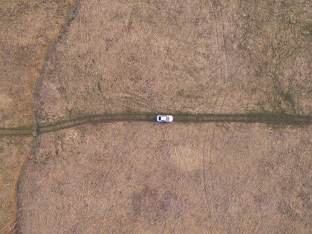 Top view of a meadow with grassの写真素材