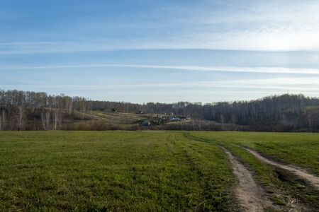 Field of grass and perfect skyの写真素材