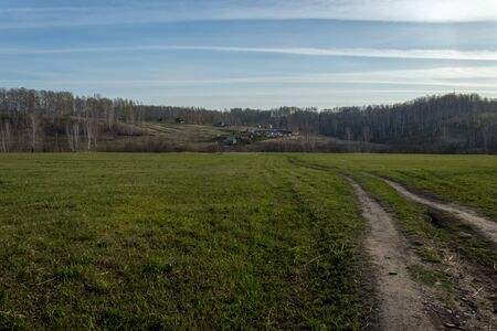 Field of grass and perfect skyの写真素材