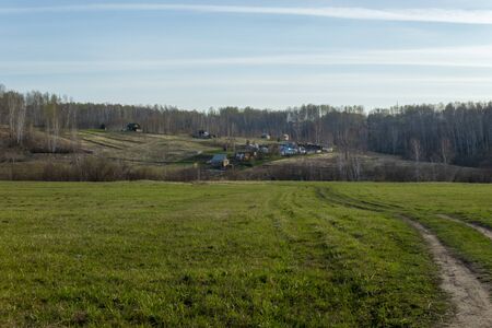 Field of grass and perfect skyの写真素材
