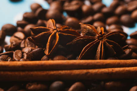 Anis, coffee and  cinnamonの写真素材