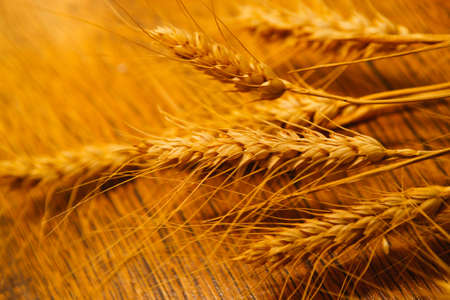 many ripe ears of wheat on  wooden backgroundの写真素材