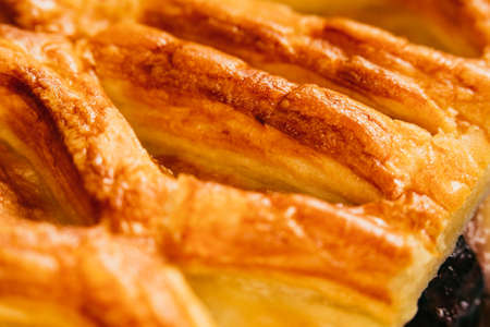 fresh strudel with apples and  raisins close-upの写真素材