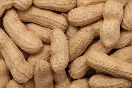 Background make from ripe groundnuts (into nutshells)