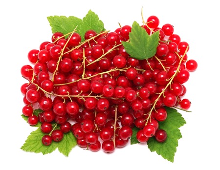 Pile of ripe redcurrant berries on green leaves isolated