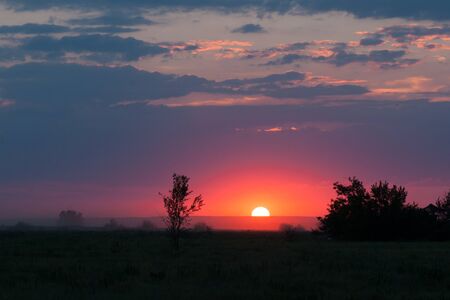 beautiful sunset over horizon with fog
の写真素材