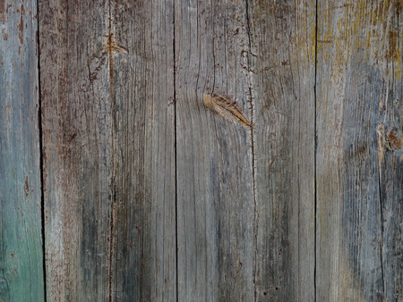 Old wooden background from the remains of paint and traces of useの写真素材