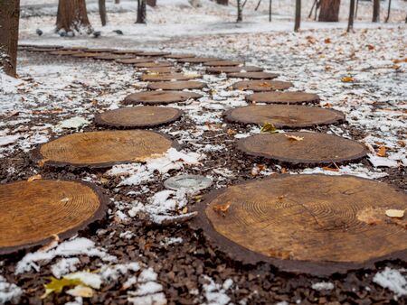 Design path in the park in the fall from round saw cuts of a tree, the fallen-down foliage and snow.の写真素材