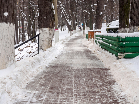 Purified from the snow path in the park during the day.の写真素材