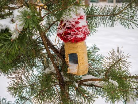Feeders for birds on a branch covered with snow during the day in January.の写真素材