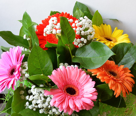 Beautiful bouquet of flowers on a white background close-up.の写真素材