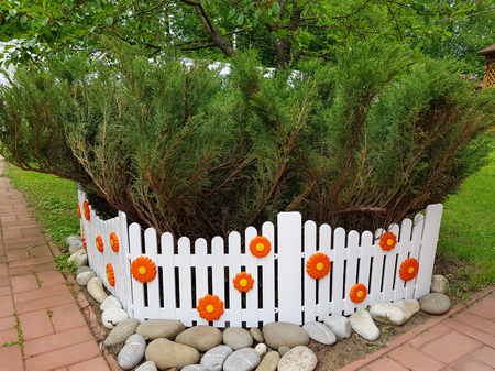 A shrub of decorative juniper behind a decorative fence in the garden.の写真素材