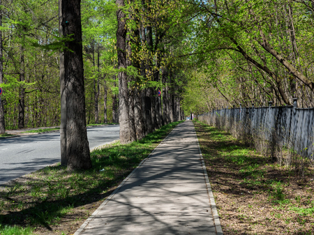 A pedestrian walkway in the park next to the road.の写真素材