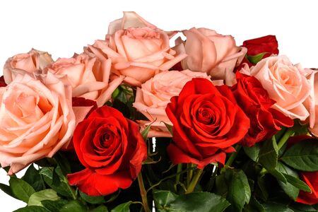 Bouquet of pink and red roses isolated, closeupの写真素材