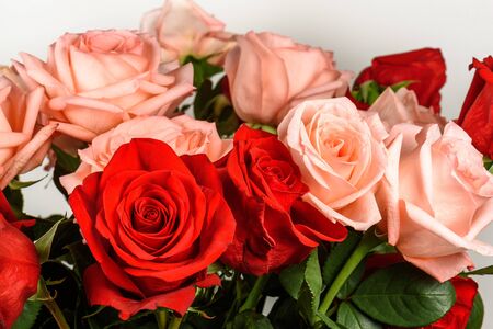 Bouquet of pink and red roses isolated, closeupの写真素材