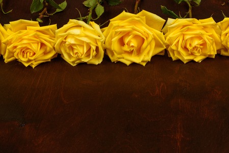 Beautiful yellow roses on a dark wooden background.の写真素材