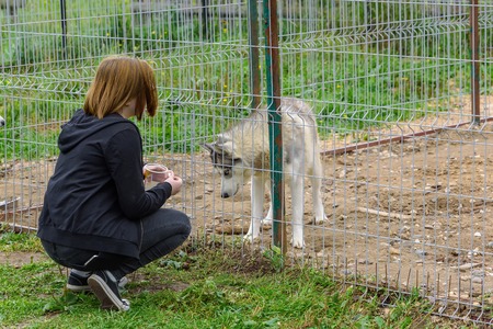 A girl is feeding with a dog in an iron cage.