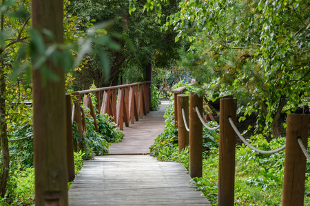 Rustic wooden bridge over stream in summer park.の写真素材