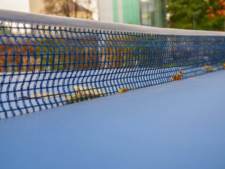Mesh on table for table tennis with fallen leaves autumn in the park.の写真素材