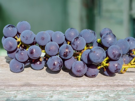 A ripped bunch of red grapes lies on an old board.の写真素材