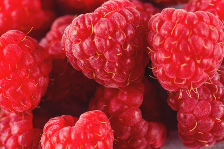 Raspberry on a background of gray cement. Ripe and juicy fresh raspberries. A lot of berries...