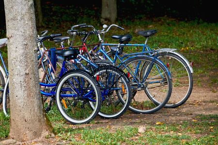 Belarus, Zalesie August 2019. Outdoor bicycle parking on the lawn.の写真素材