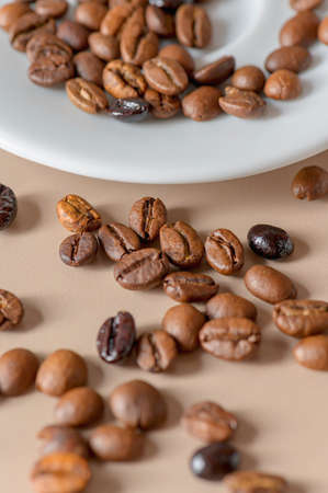 Roasted coffee beans and cup with copyspace. Roasted coffee beans of the morning mood.の写真素材