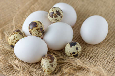 White raw chicken eggs and small quail eggs in burlap close-up. Chicken and quail eggs rustic background.の写真素材