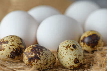 White raw chicken eggs and small quail eggs in burlap close-up. Chicken and quail eggs rustic background.の写真素材