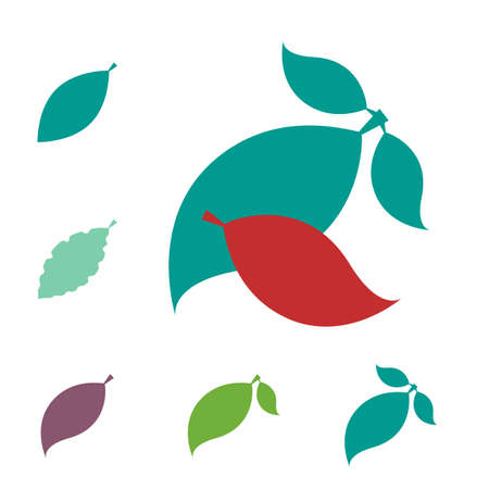 Set of Leaf Vector Icons or Elements for Eco and Bio Logos. Various Shapes of Leaves Isolatedのイラスト素材