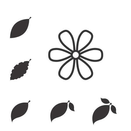 Set of Leaf Vector Icons or Elements for Eco and Bio Logos. Various Shapes of Leaves Isolatedのイラスト素材