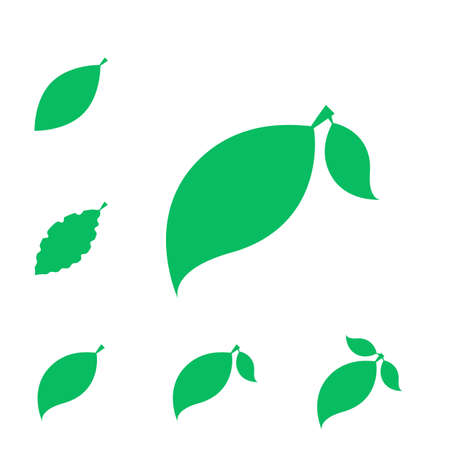 Set of Leaf Vector Icons or Elements for Eco and Bio Logos. Various Shapes of Leaves Isolatedのイラスト素材