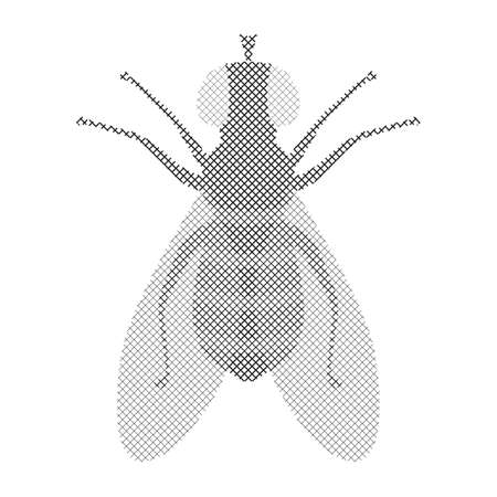 Halftone Fly Icon Isolated on White Background. Pest Symbol in Engraving Styleのイラスト素材