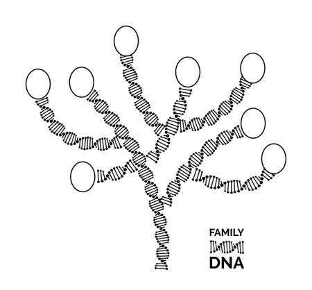 Genealogical tree concept isolated on white background. Genealogy tree made of dna molecule vector illustrationのイラスト素材